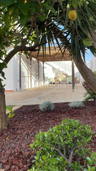 Foto 9c797679-73c0-4268-b459-99a447cc3d0c. Maison avec chauffage dans Eucaliptus - Poble Nou del Delta Amposta