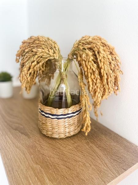 Foto b8cdccd5-a4aa-44bd-97ab-e4ea9a770654. Maison avec chauffage dans Eucaliptus - Poble Nou del Delta Amposta