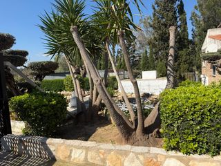 Masia a Santa B�rbara. Finca r�stica con vivienda legalizada y anexos en santa b�rbara