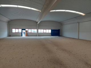 Miete Fabrikhalle in Sant Esteve Sesrovires. A estrenar