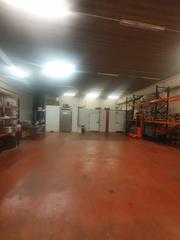 Nau industrial a Sant Esteve Sesrovires