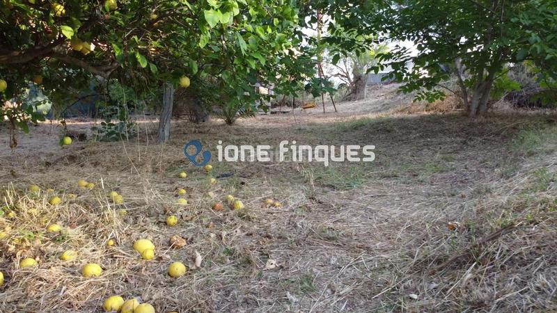 Foto 23a74cfc-cab4-4fc8-9405-583da81d102b. Terreny residencial a Nou Vendrell Vendrell (El)