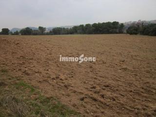Finca rústica a Gaià. Terreno en venta en gaià