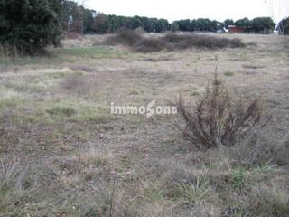 Terreny residencial a Brull (El). Parcela en venta en el brull el muntanyà
