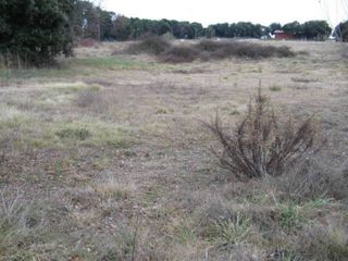 Terreno residencial en Brull (El). Solar en venta