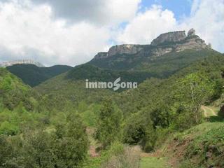 Rural plot in Rupit i Pruit. Finca rustica de 135 hectareas en rupit.