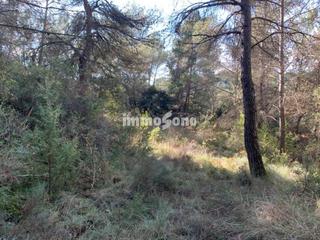 Finca rústica a Santa Maria d´Oló. Terreno rustico de 10.000 m2