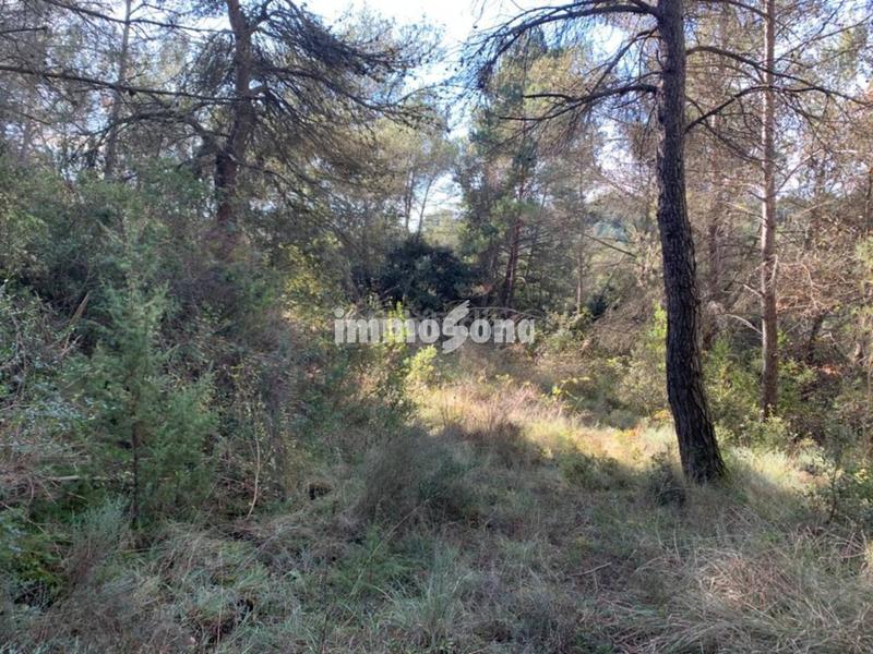 Foto 8ed1d10b-697b-4d61-bb9e-849db61d49f6. Propriété dans Santa Maria d´Oló