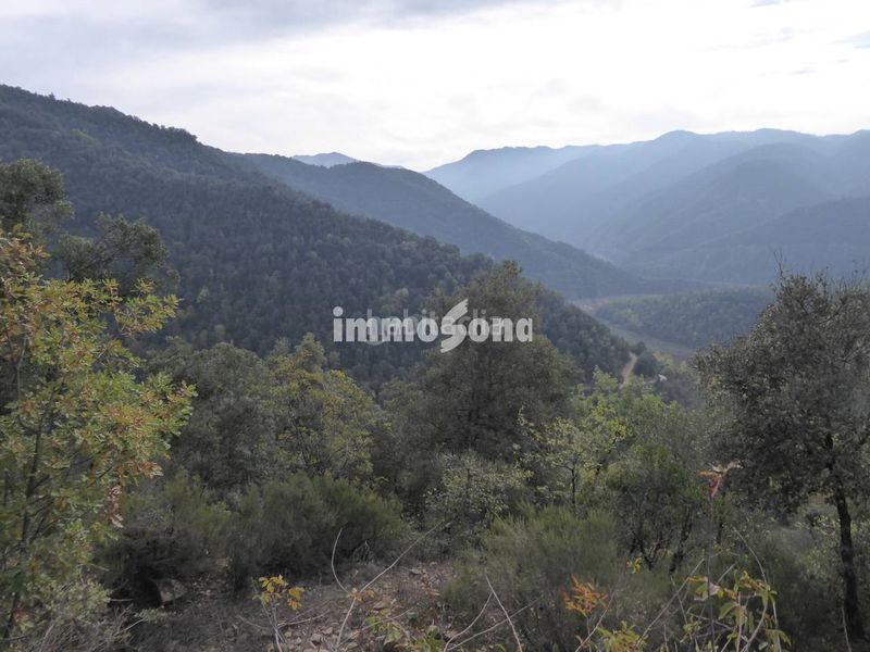 Foto 43b1a15e-2cfe-48a4-882c-c0da0df619bd. Finca rústica a Vilanova de Sau