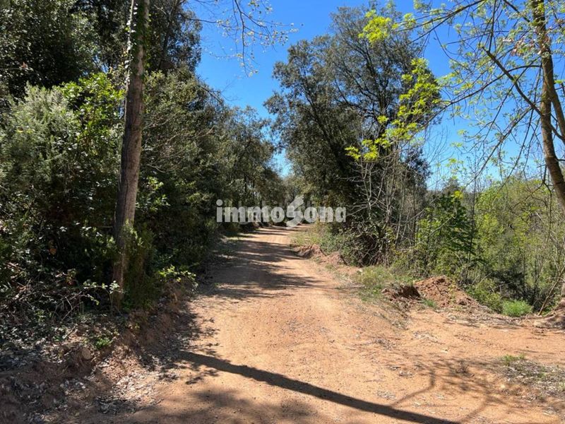 Foto d6bde5ea-8c7f-49e2-8b7b-00c2536c670b. Finca rústica a Vilanova de Sau