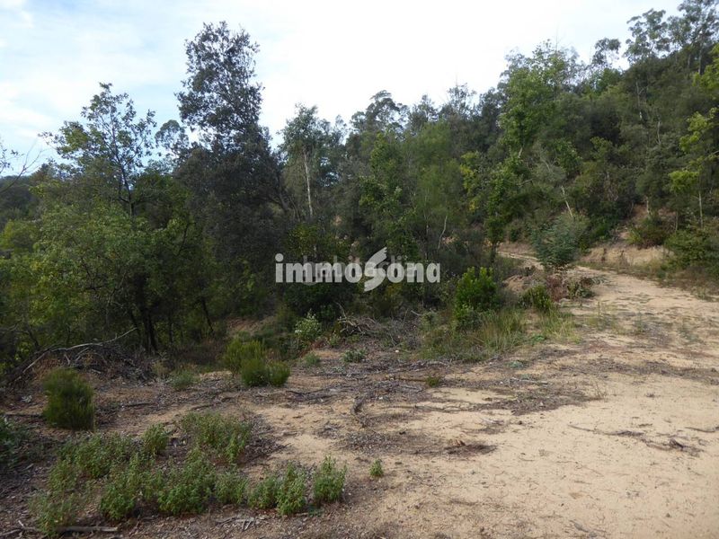 Foto e2d1d3a1-be6a-4cd8-9e8b-5bc8ca2ed2b2. Finca rústica a Vilanova de Sau