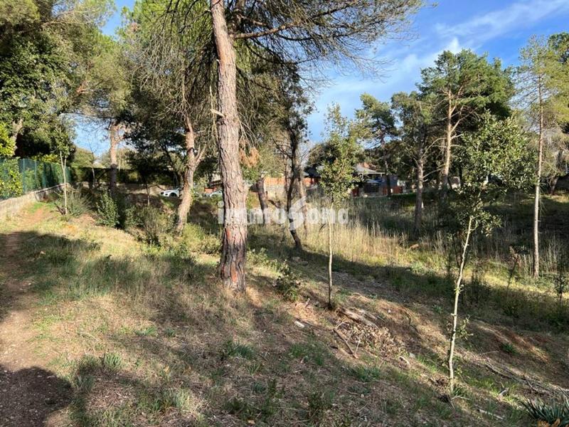 Foto 19d8c820-01e2-420a-a146-45cdafdde584. Terreny residencial a Seva