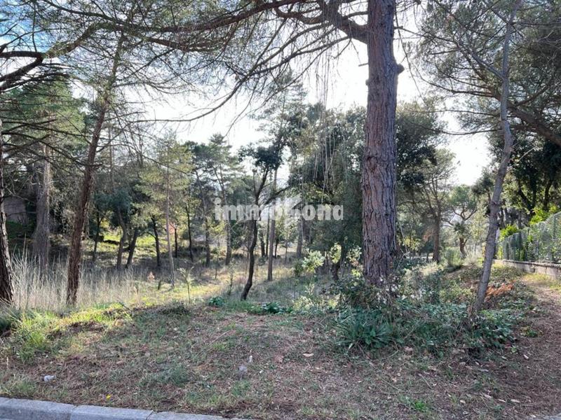 Foto 25bcdf19-46dc-4cde-af40-87c1333939e4. Terreny residencial a Seva