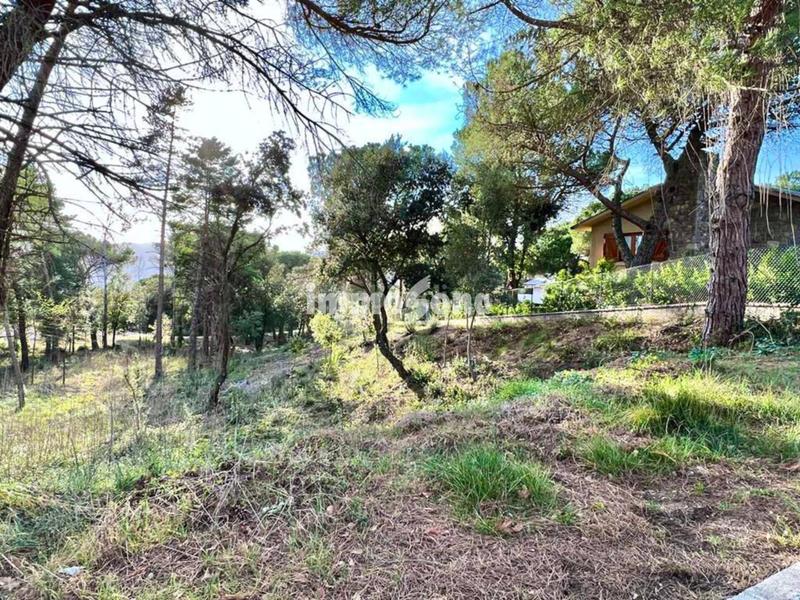 Foto 58e9c5d7-d1ea-4c70-8d9e-0b5d72f3c6f4. Terreny residencial a Seva