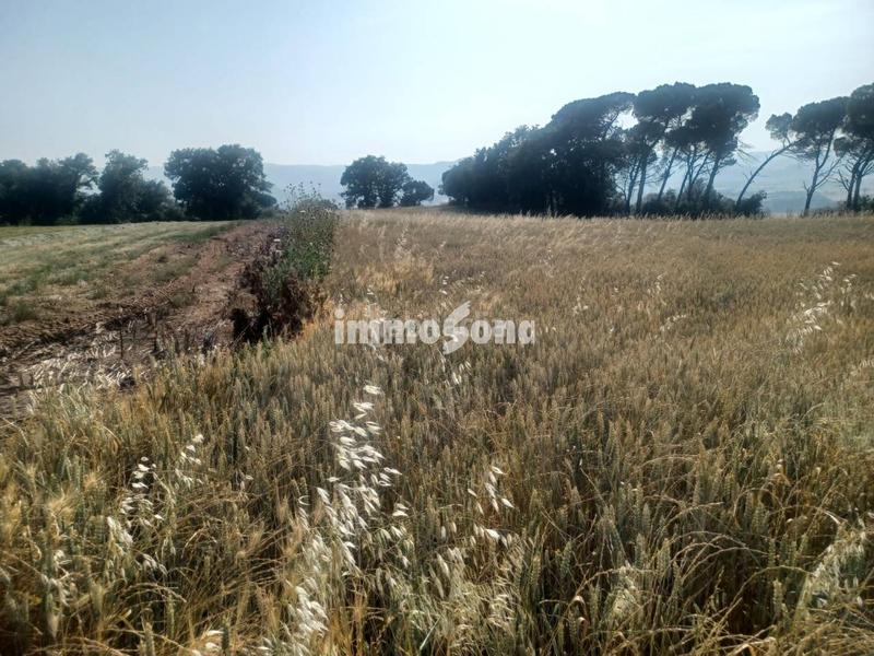 Foto 3852b8e6-604f-45e6-8c1e-9984b8797bc7. Finca rústica terreno de cultivo en venta en Taradell