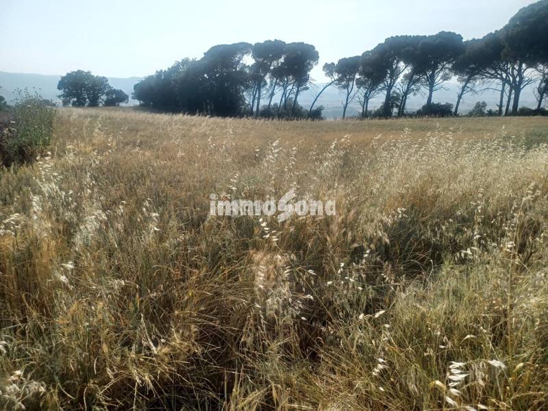 Foto 42a81009-85d1-4e4c-bd30-3b1520c525f5. Finca rústica terreno de cultivo en venta en Taradell