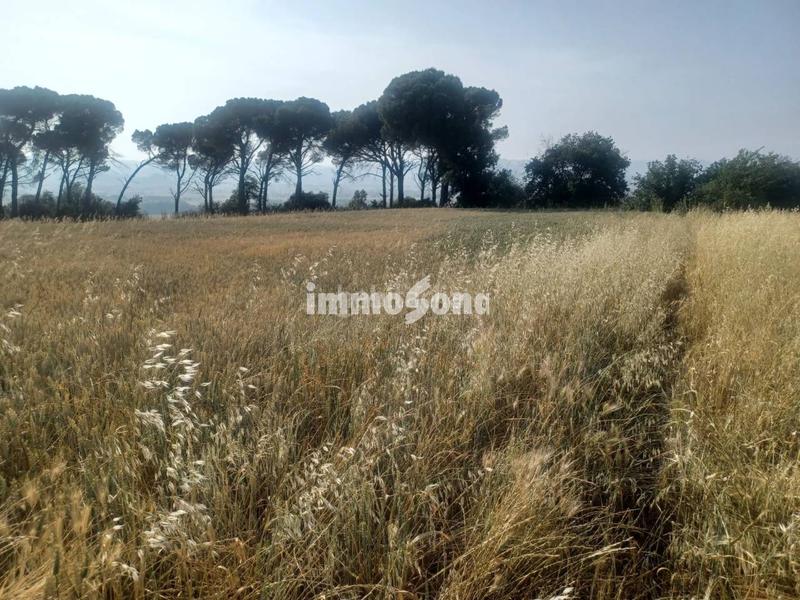 Foto 80fcee3e-5216-4ade-90f6-20e73279534c. Finca rústica terreno de cultivo en venta en Taradell