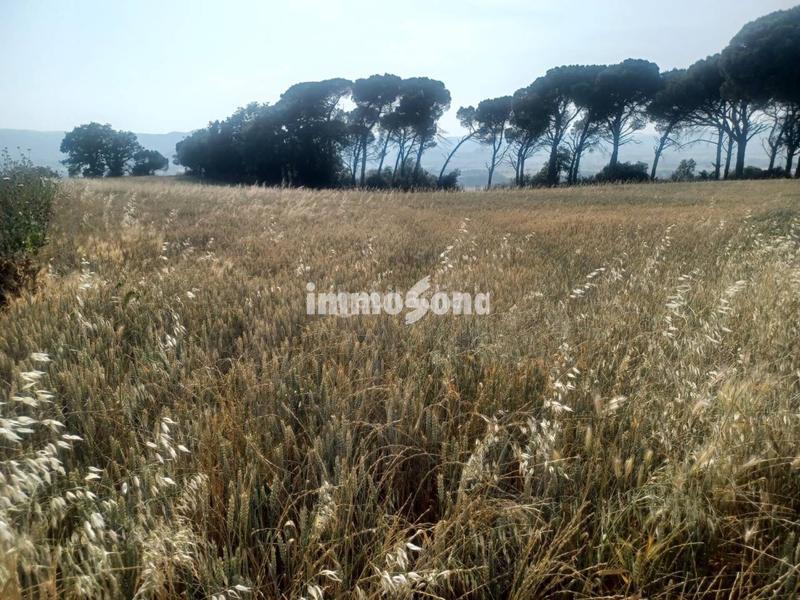 Foto dc796f32-0c5d-4eee-b738-166829869598. Finca rústica terreno de cultivo en venta en Taradell