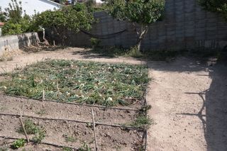 Terreny residencial a Bonastre