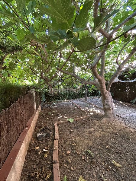Foto c5baafda-6b0a-4550-ba09-ab20a719a4a5. Casa amb xemeneia aparcament a Centre Torredembarra