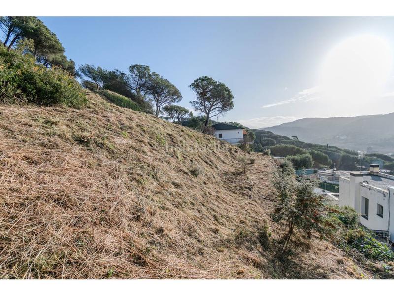 Foto 0ce902a4-9aa5-47a4-af22-f4977a84d108. Terreny residencial a Dosrius poble Dosrius