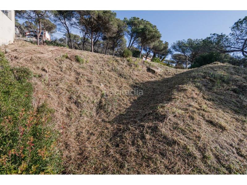 Foto 4d5e963f-68e3-4014-a356-8a52dfd1efc0. Terreny residencial a Dosrius poble Dosrius