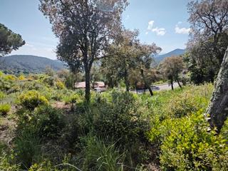 Terreny residencial a Riudarenes. Venta de solar en riudarenes