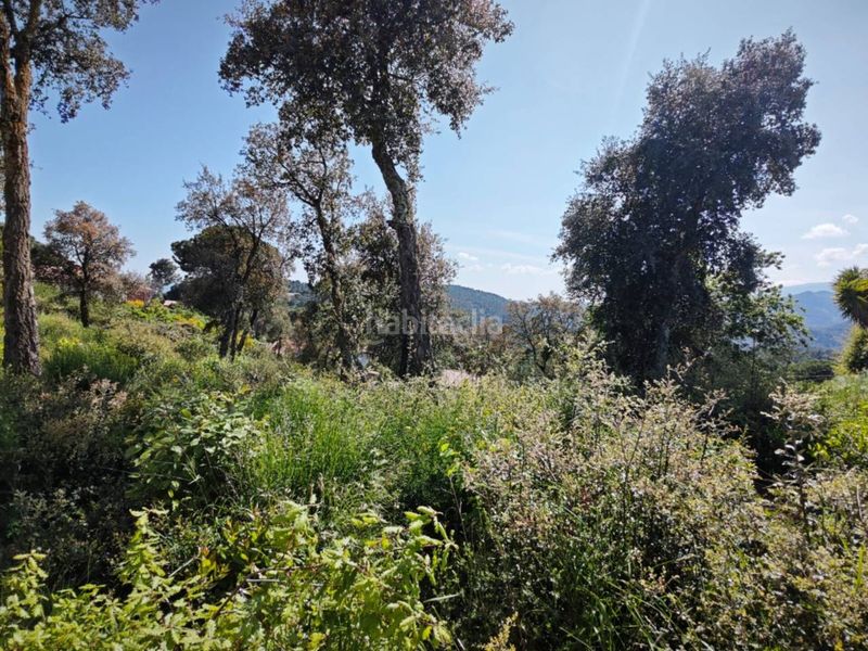 Foto dbb311ee-d425-48d9-9e77-f699b049e70b. Terreny residencial a Riudarenes