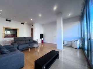 Location Appartement  Plaza independència. Alquiler con vistas a catedral y río oñar