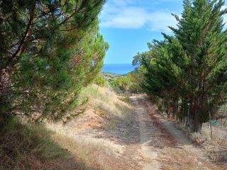 Lloguer Terreny residencial a Canet de Mar. Canet de marterreno