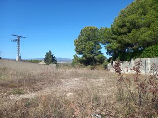 Residential Plot in Alginet. Terreno en venta urnanizable