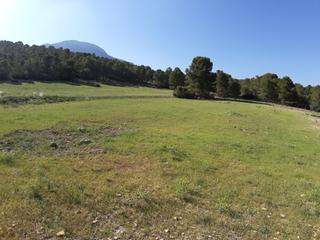 Terreno residencial en Vial Camino 20T