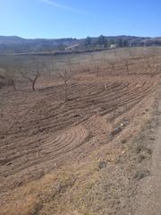Finca rústica a A-91 85. Terreno muy económico!