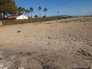 Residential Plot in Diseminado purias 144. Parcela proxima lorca!