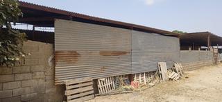 Industrial building in Camino Rambla de Purias 2