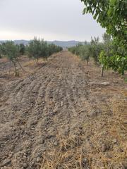 Residential Plot in Diseminado purias 863