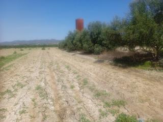 Rural plot in Diseminado purias 863