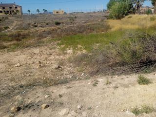 Terreny residencial a Diseminado purias 863