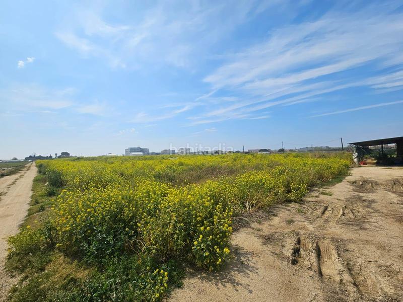 Foto b6f10c4c-d996-4363-a99b-e1d9e7845051. Finca rústica a Malgrat de Mar