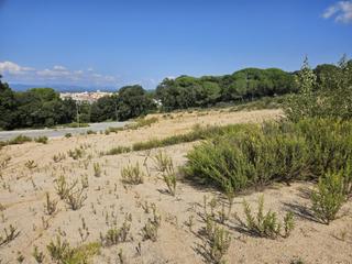 Terreno residenziale in Palafolls. Solar industrial en venta en palafolls