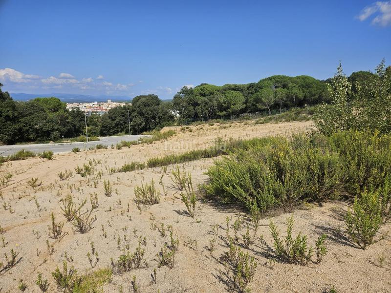 Foto 60ad9ea1-37d5-47a2-927c-bbd2f2f94223. Terreny residencial a Palafolls