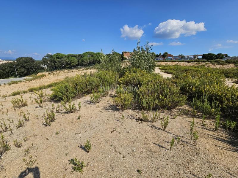 Foto 907bd252-1623-42b0-b282-aabf638277ad. Terreny residencial a Palafolls