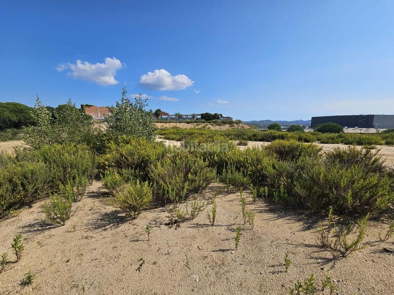 Foto b5f003e8-60bd-4022-96db-3b21c07de365. Terreny residencial a Palafolls