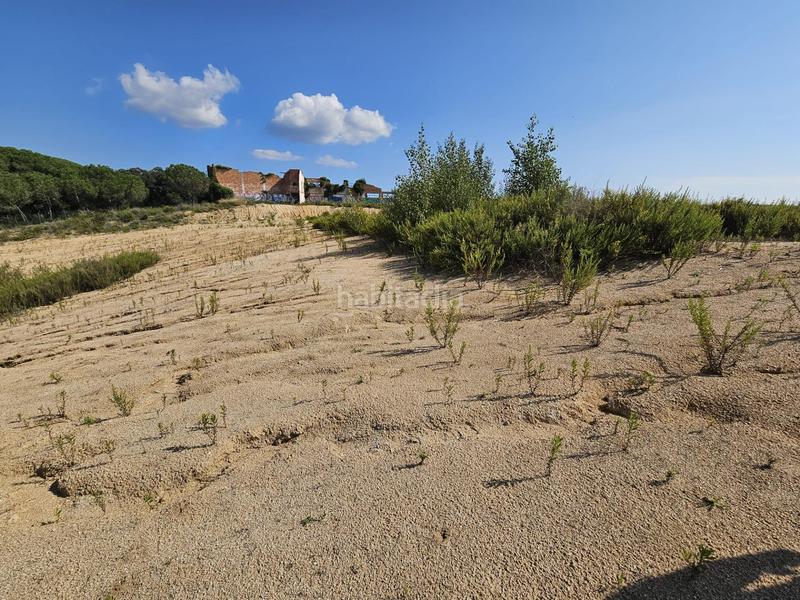 Foto ffec1bec-ecf5-4bb9-9e13-ec9bee3a203e. Terreny residencial a Palafolls