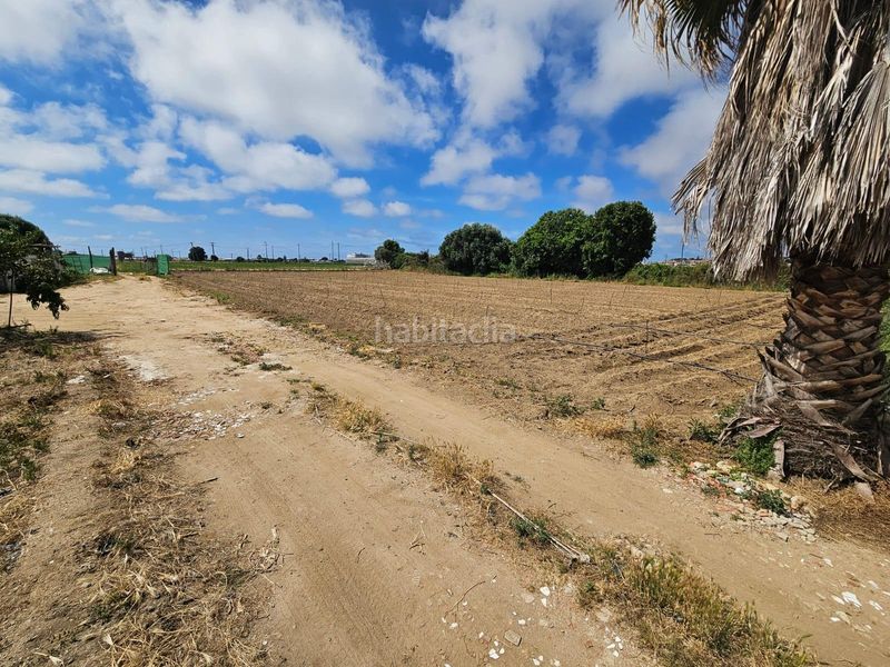 Foto 7d2db101-d339-4de5-9cfb-fe7c26bf8489. Finca rústica a Malgrat de Mar