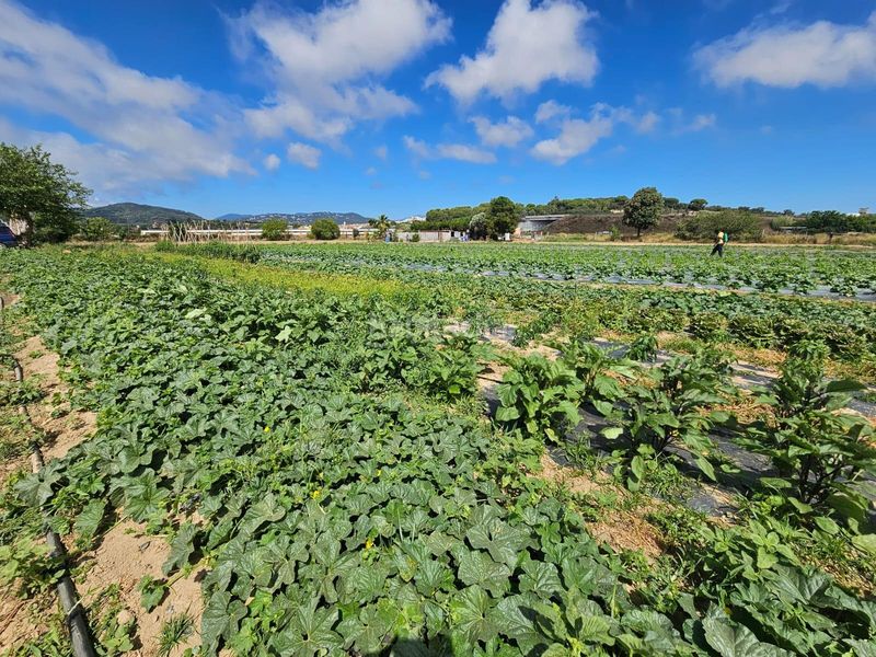 Foto a30f4653-f95d-4d48-a74b-3436a82f9754. Finca rústica a Malgrat de Mar
