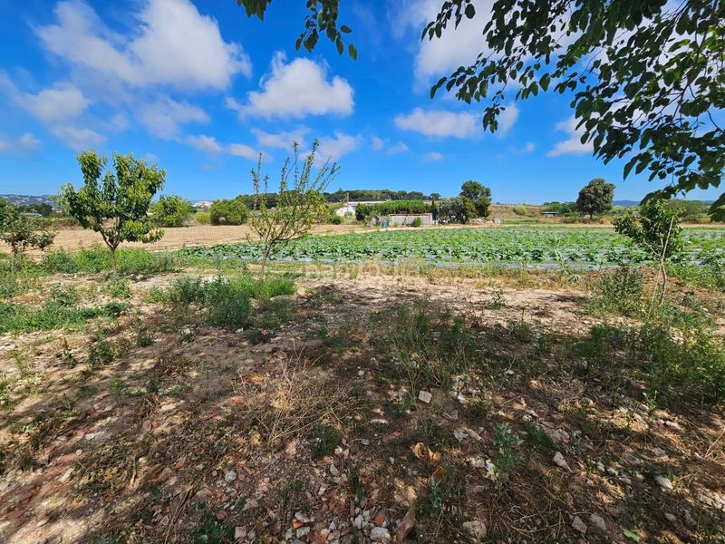 Foto cccf50a9-882c-42ee-b77c-7a1378d33f85. Finca rústica a Malgrat de Mar