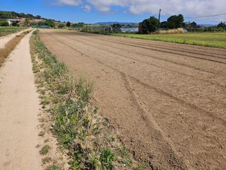 Finca rústica a Malgrat de Mar. Terreno agricola en venta en malgrat de mar