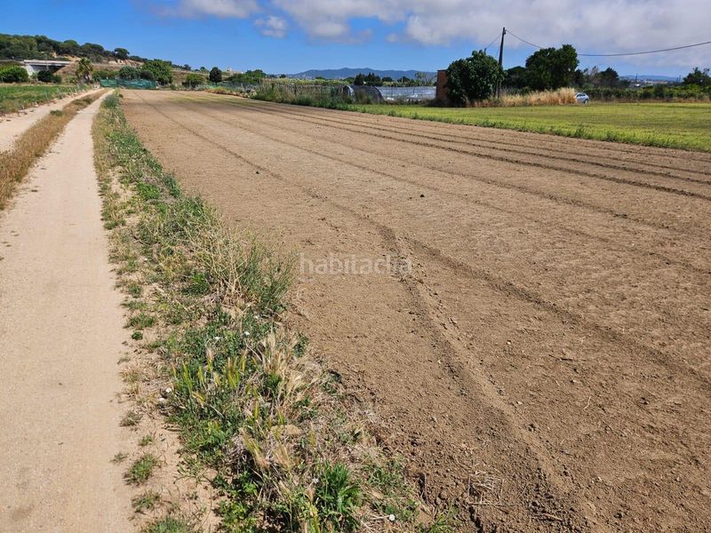 Foto d0a294fd-8fd2-4f90-9623-033ab774c052. Finca rústica a Malgrat de Mar