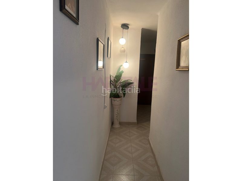 Foto 5cea8a7c-bf0d-4131-9fc5-1b22d3e7b900. Pis a Els Orriols Valencia